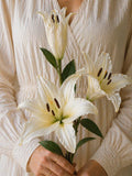 Real Touch Lily Stem, Lifelike Silk Flowers, Wedding Centerpieces, Home Decoration Arrangement