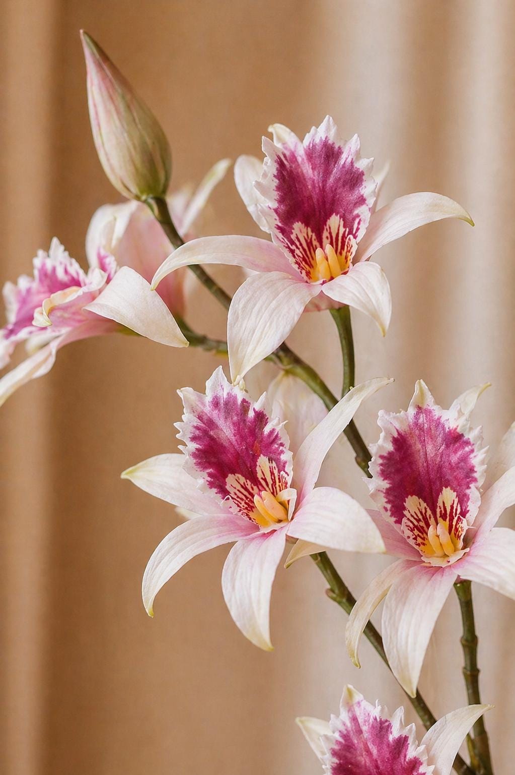 Real Touch Dendrobium Orchid Branch, 2 Fork Artificial Orchid Stem, Handmade Realistic Faux Flower Arrangement