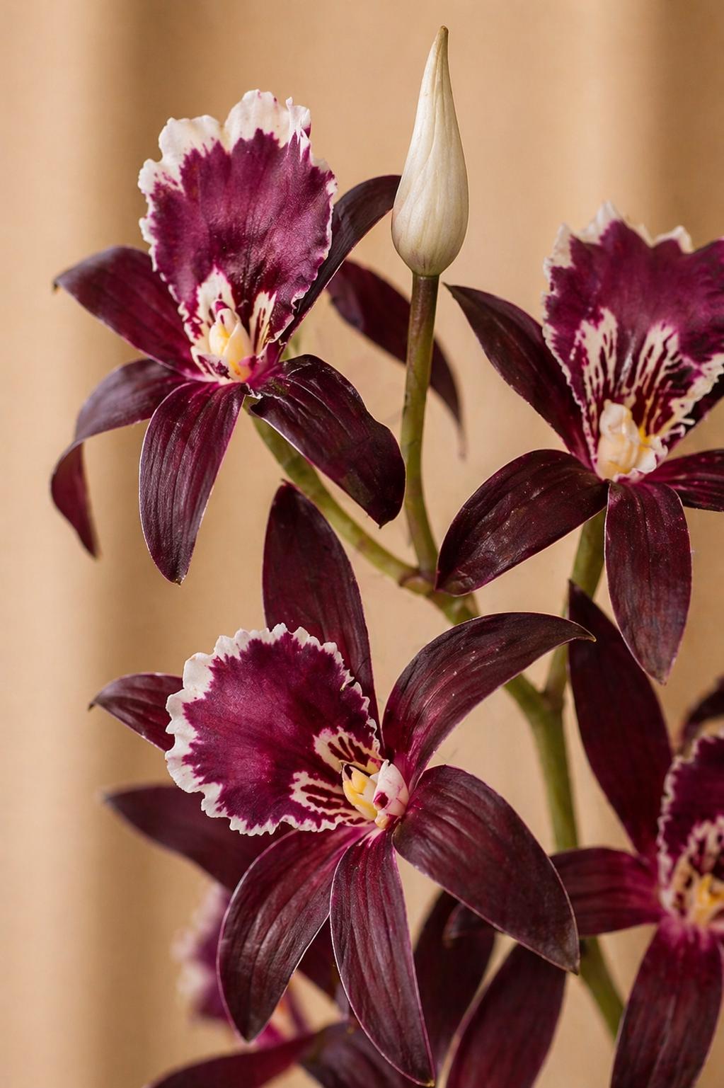 Real Touch Dendrobium Orchid Branch, 2 Fork Artificial Orchid Stem, Handmade Realistic Faux Flower Arrangement