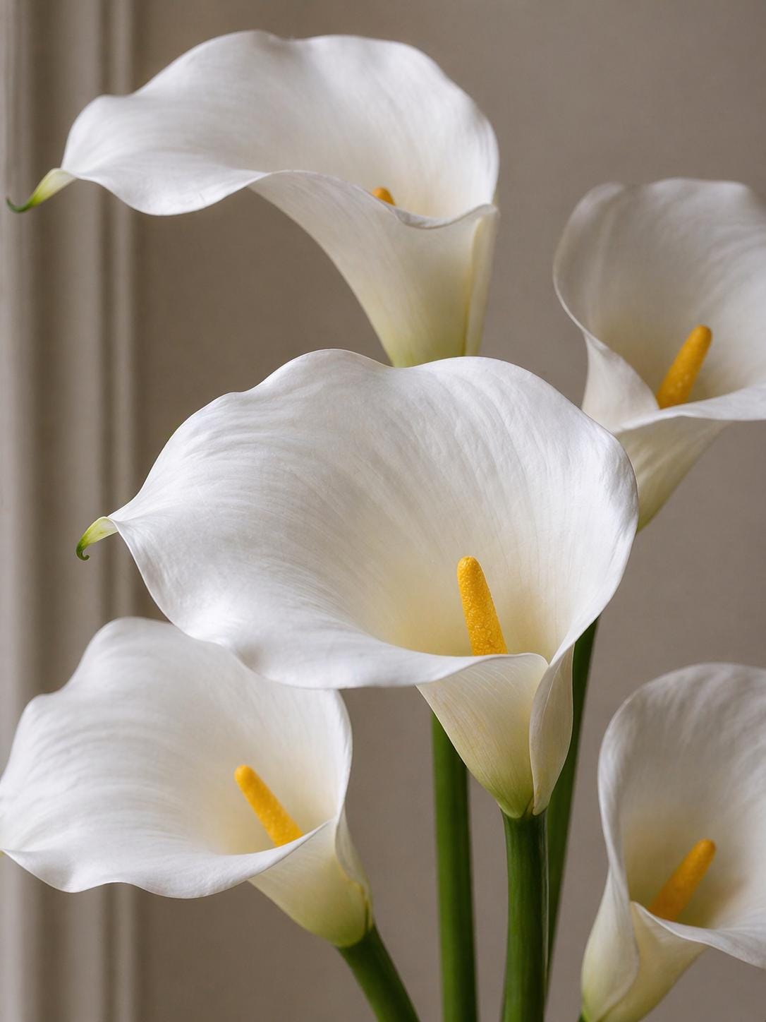 Real Touch Foam Calla Lily Stems