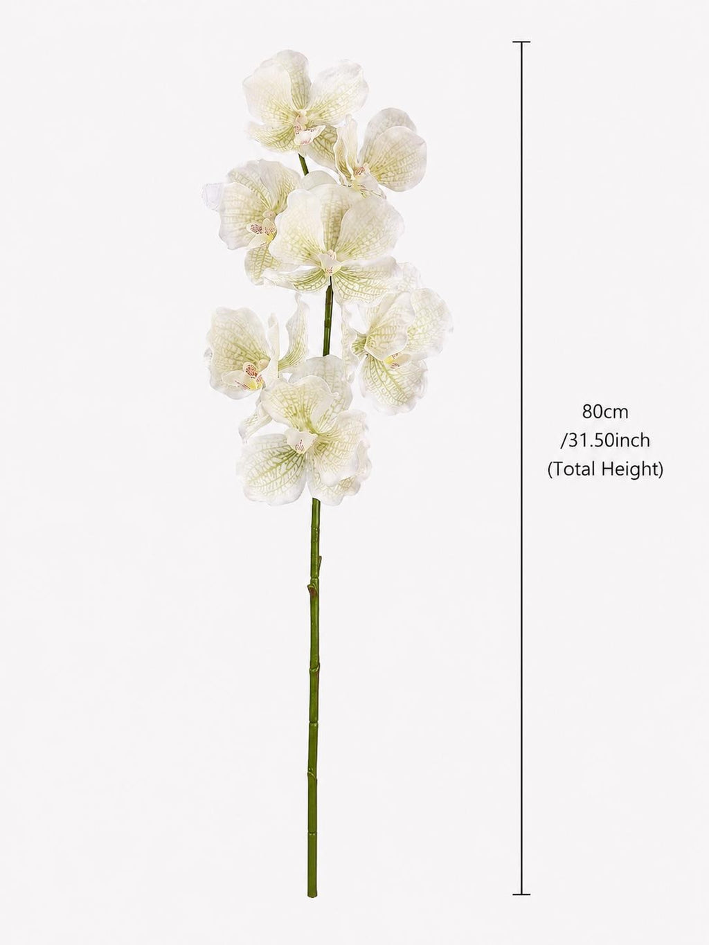 Real Touch Phalaenopsis Orchid Stem Faux Silk Flower for Vase Decor and Wedding Styling