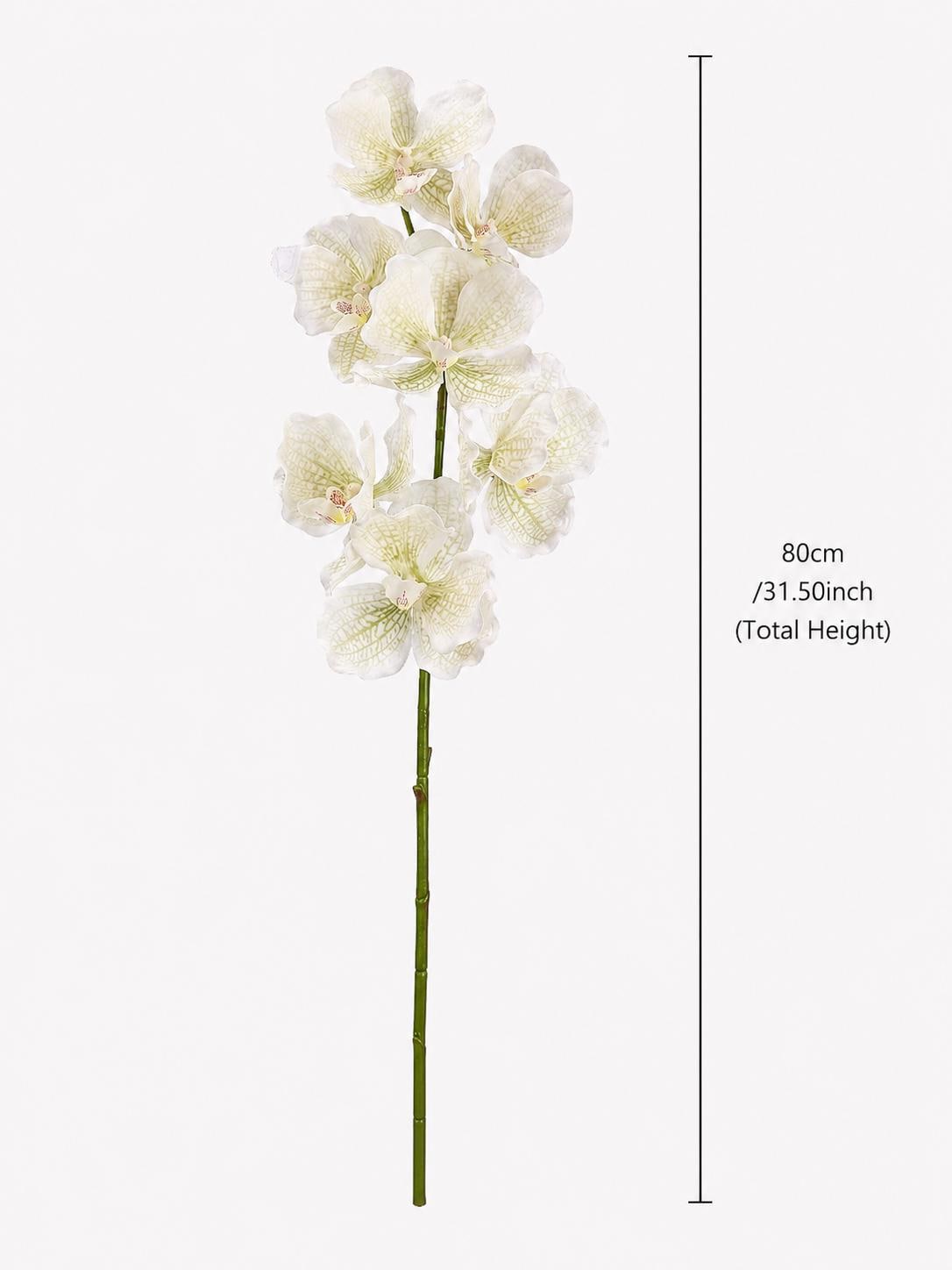 Real Touch Phalaenopsis Orchid Stem Faux Silk Flower for Vase Decor and Wedding Styling