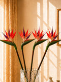 Faux Bird of Paradise Stem: Tropical Flower for Vase Decor, Wedding Styling