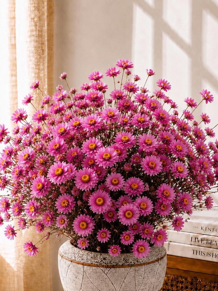 Bundle Dried Daisy Bouquet Preserved Wildflower Stems Rustic Floral Home Decor