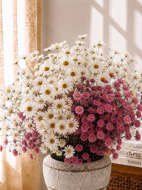 Bundle Dried Daisy Bouquet Preserved Wildflower Stems Rustic Floral Home Decor