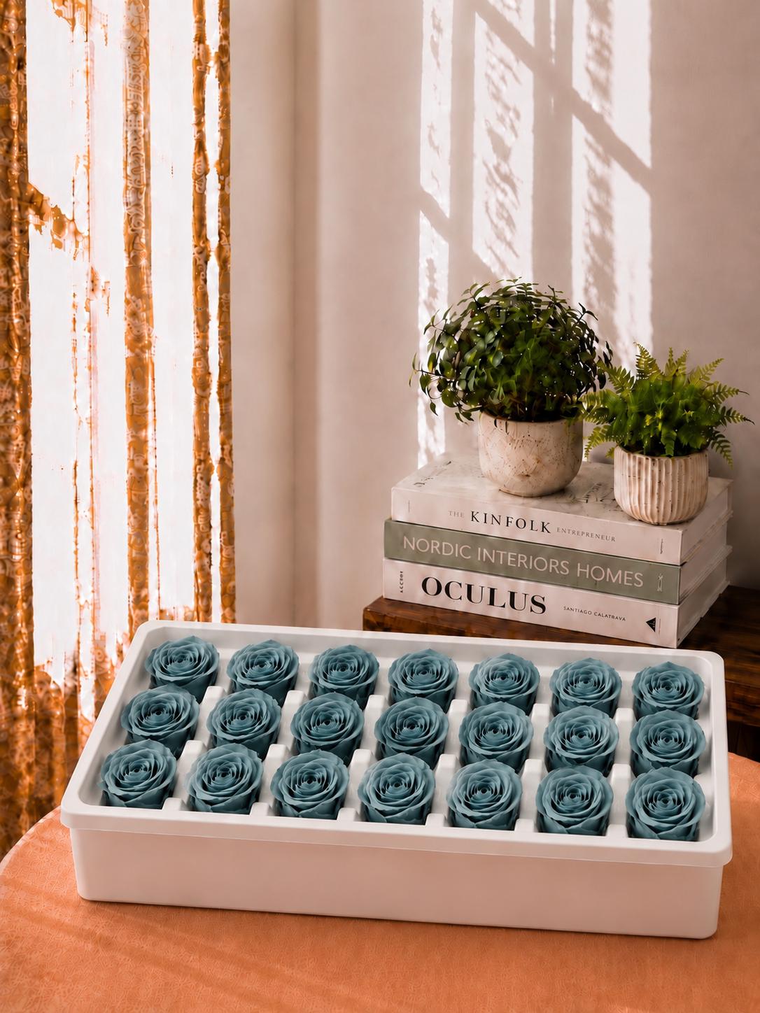 Preserved Rose Flower Heads Boxed Dried Roses Floral Craft Wedding Decor
