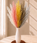 Preserved Italian Ruscus, Dried Ruscus Stems, Long Lasting Botanical Home Decor