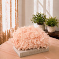 Preserved Hydrangea Flower Heads Boxed Dried Hydrangea Petals Floral Decor