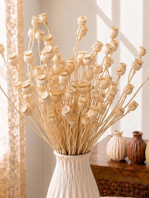 Dried Lotus Pod Stems: Sculptural Botanical Texture for Arrangements, Home Décor, Boho Style
