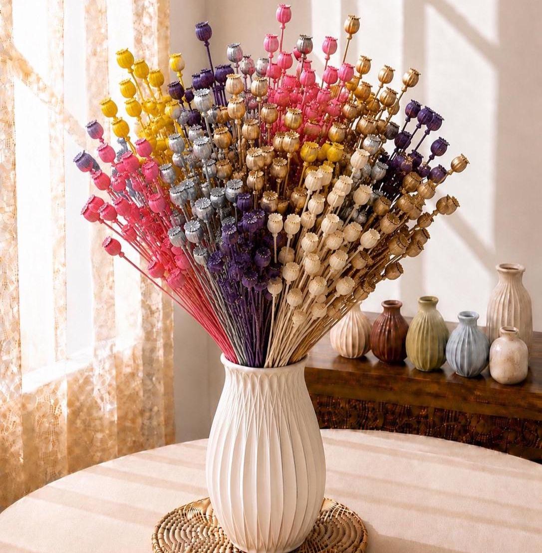 Dried Lotus Pod Stems: Sculptural Botanical Texture for Arrangements, Home Décor, Boho Style
